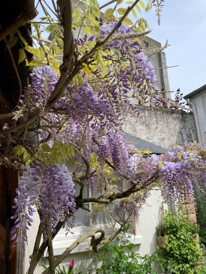 Hotel De La Sologne Beaugency Exterior photo
